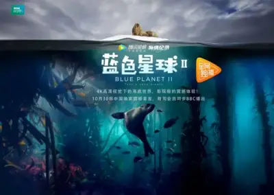 流氓软件免费下载app大全剧照1