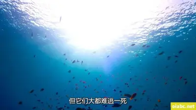 s货c货大声点叫剧照3